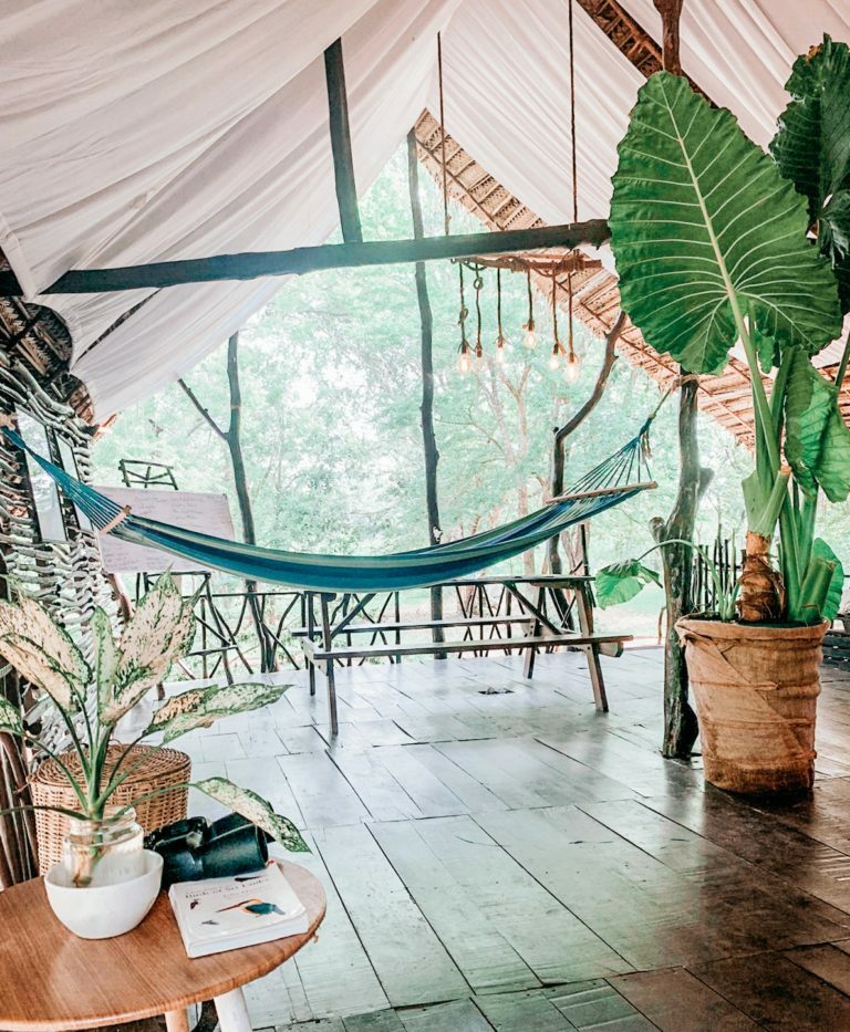 Glamping  in Yala, Sri Lanka