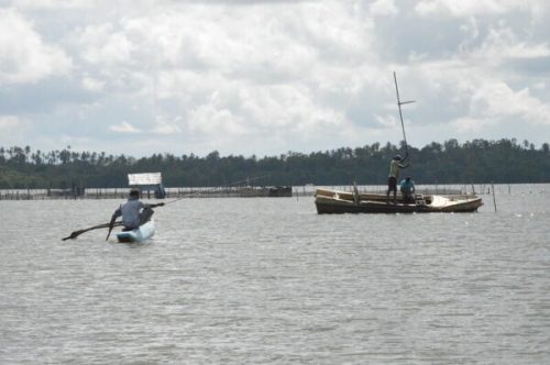 Dandugam Oya Boat Safari