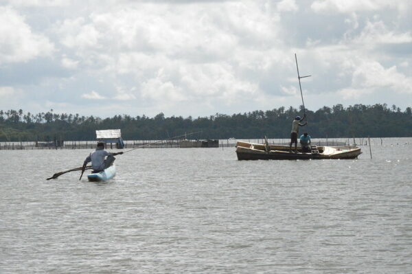 Dandugam Oya Boat Safari