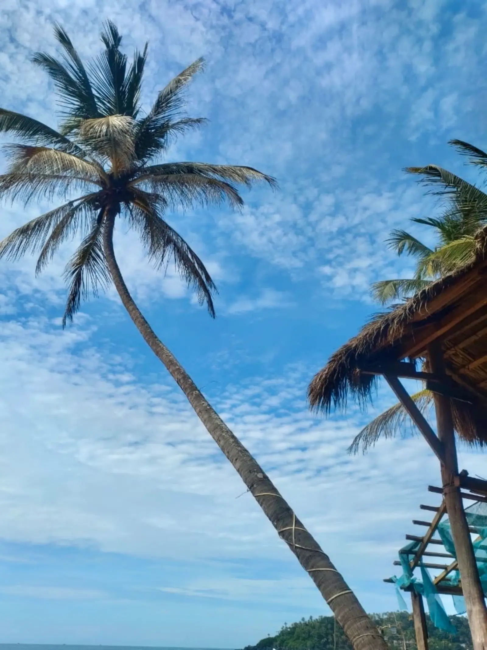 Mirissa Beach Bentota