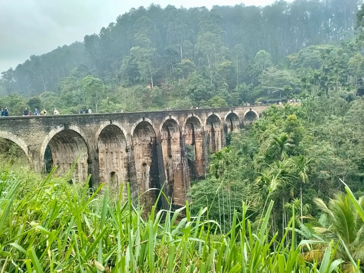 Ella scenic train and tea country