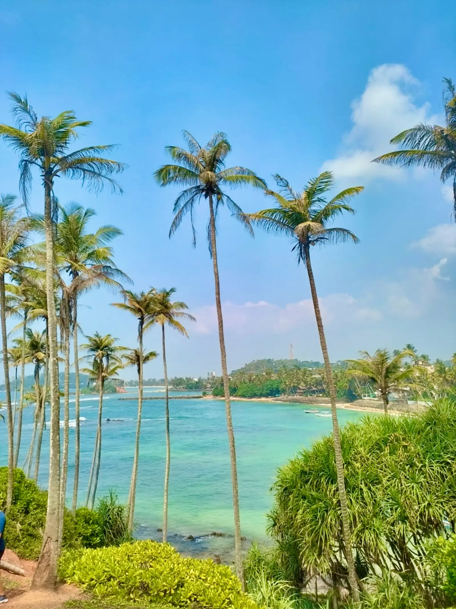 Loving It Sri Lanka Tour