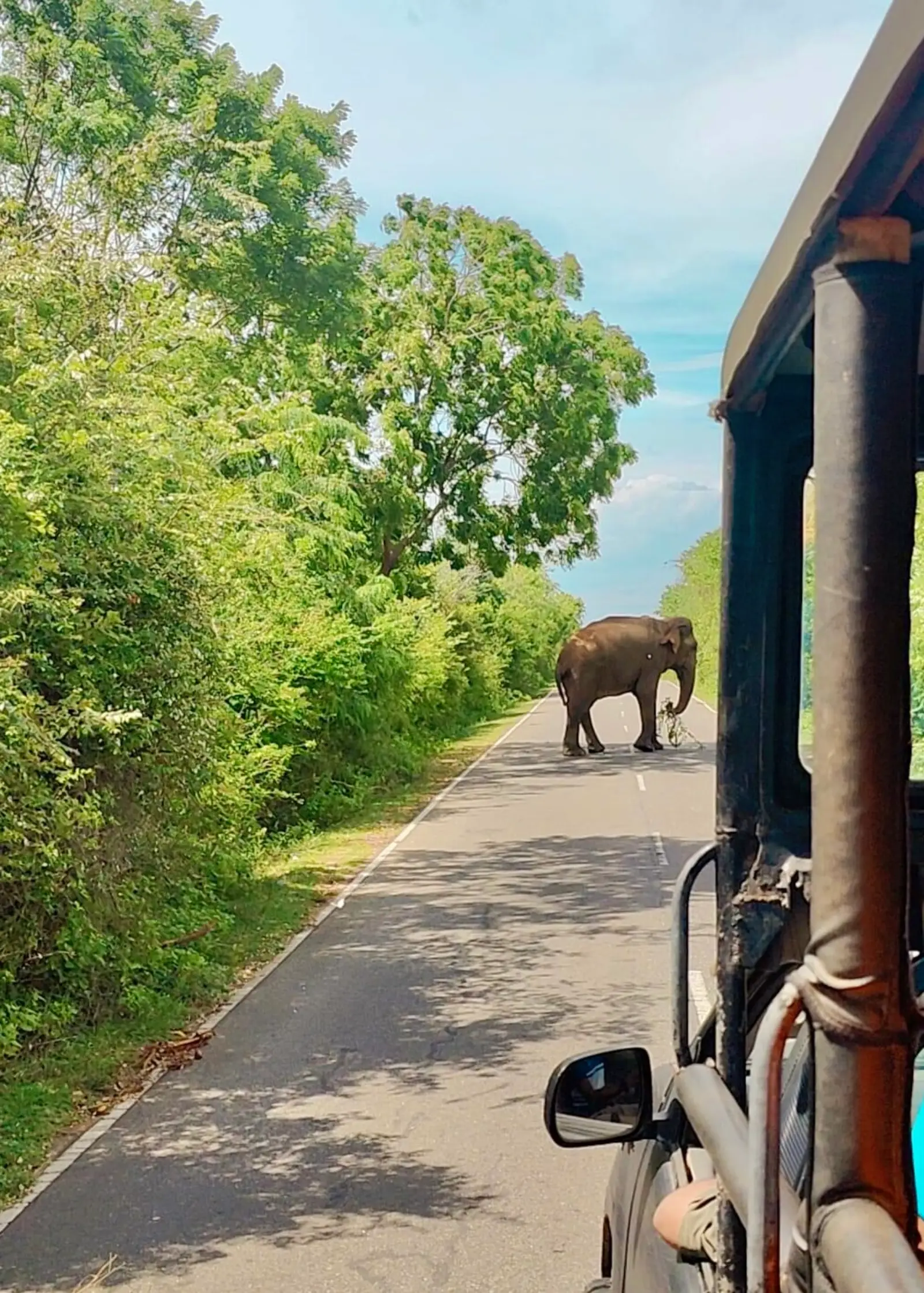 YALA to Ella best routes and attractions