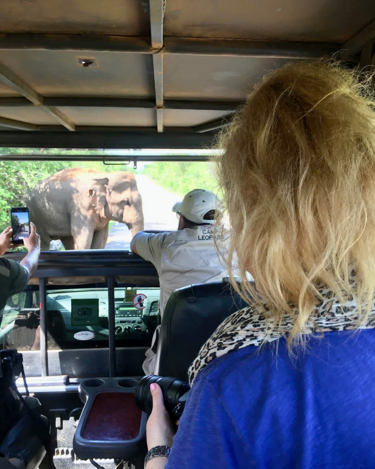 Safari jeep in Yala National Park