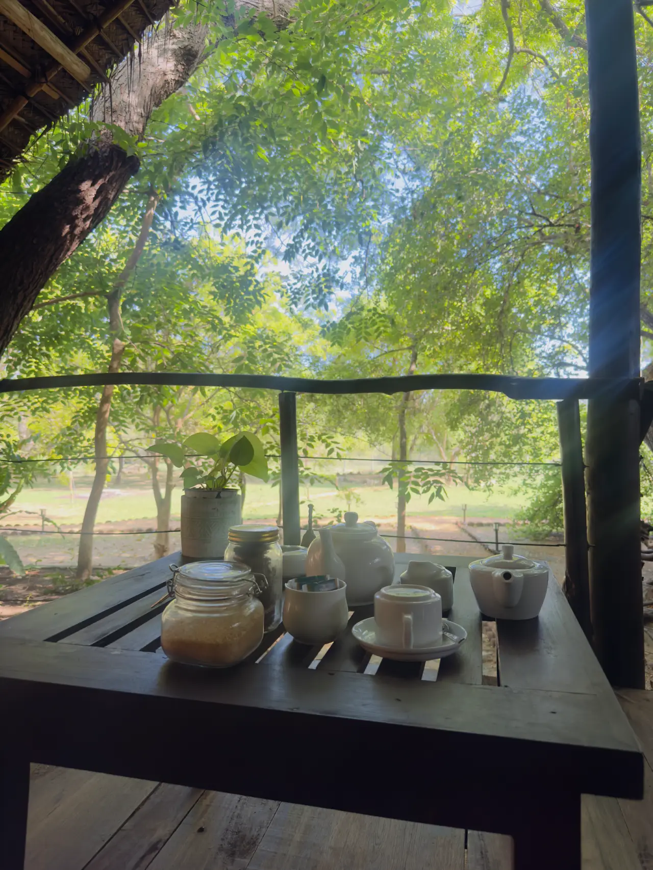 Glamping tent set up for an overnight stay near Yala National Park