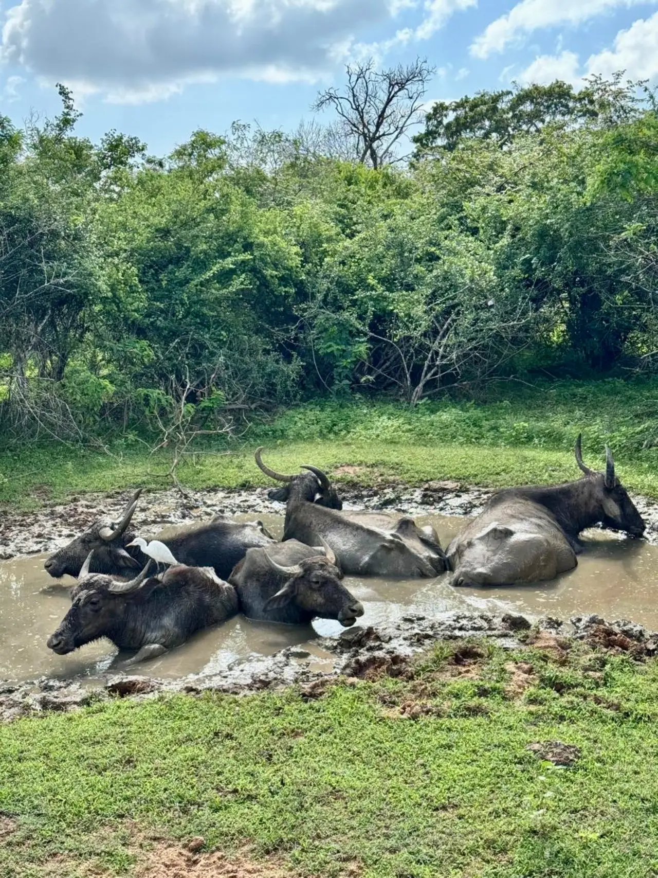 Ella to Yala distance, routes and transport