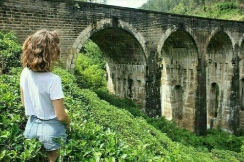 40094757310_e52f70fe23_c 40094757310_e52f70fe23_c